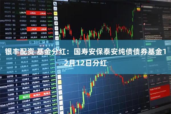 银丰配资 基金分红:国寿安保泰安纯债债券基金12月12日分红
